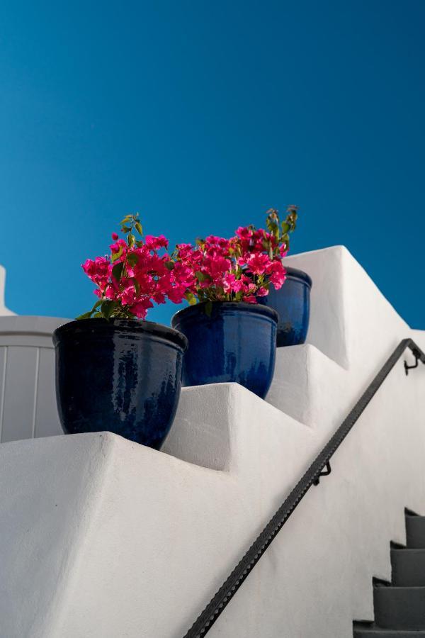 باسو روبليس، سان لويس أوبيسبو، كاليفورنيا Sirena Vineyard Resort المظهر الخارجي الصورة