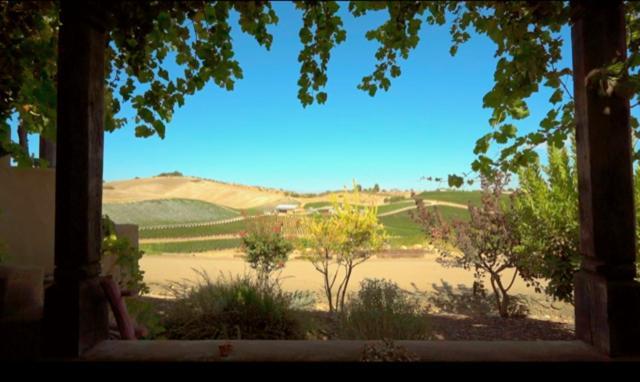 باسو روبليس، سان لويس أوبيسبو، كاليفورنيا Sirena Vineyard Resort المظهر الخارجي الصورة