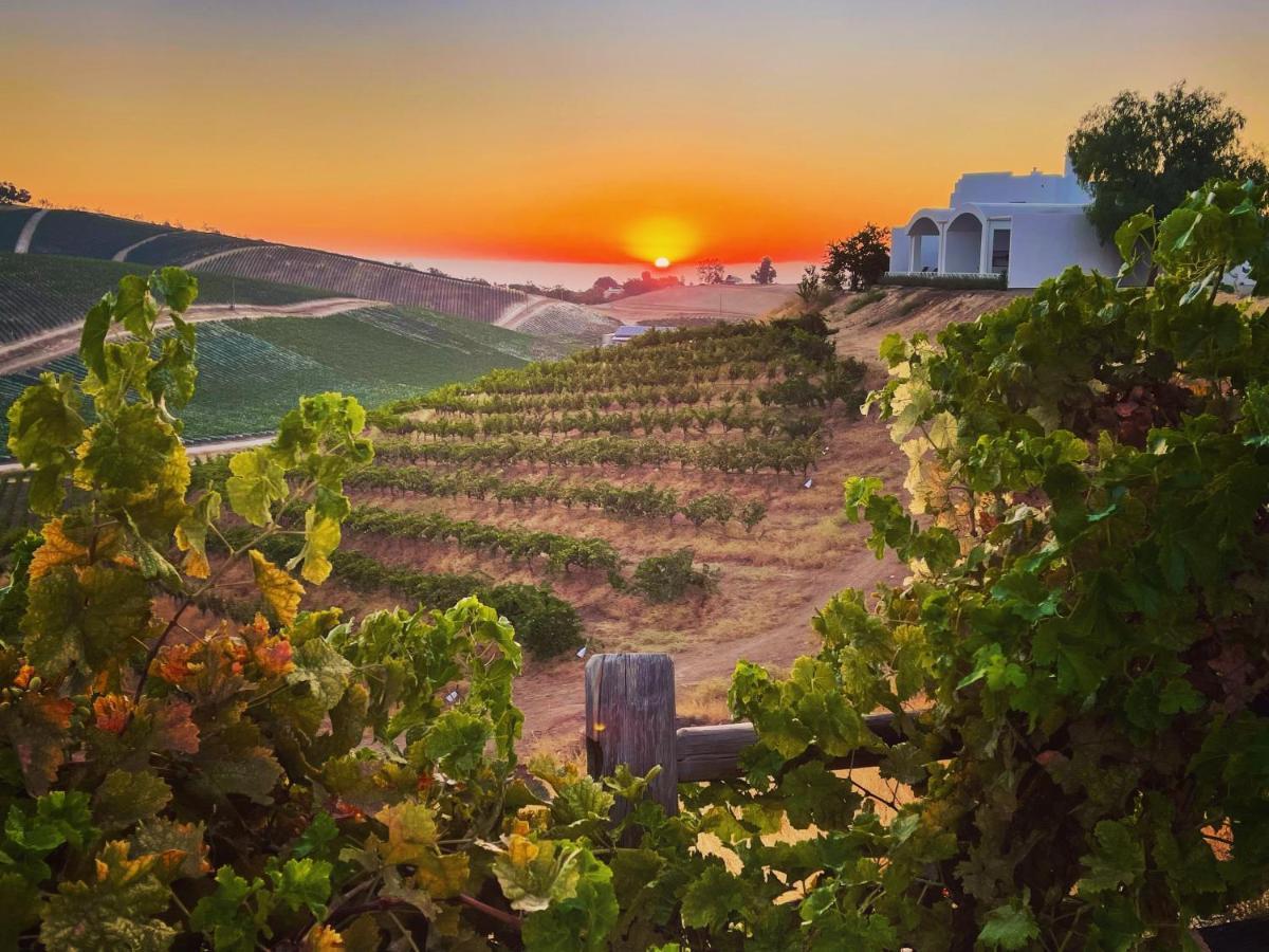 باسو روبليس، سان لويس أوبيسبو، كاليفورنيا Sirena Vineyard Resort المظهر الخارجي الصورة